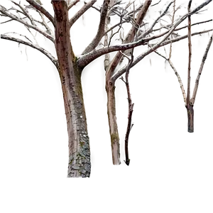 Dead Tree Branches Png 32 PNG image