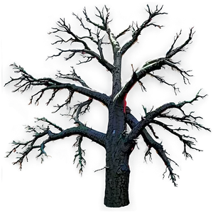 Dead Tree In Forest PNG Bpl
