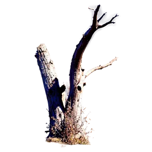 Dead Tree In Landscape PNG 33 PNG