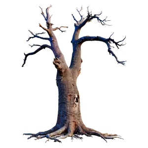 Dead Tree Isolated PNG 50