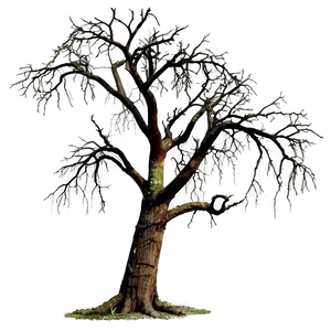 Dead Tree Isolated PNG Nxa56 PNG