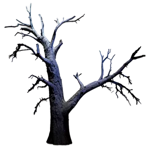 Dead Tree Night Png Hnj PNG image