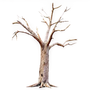 Dead Tree On Dark Background PNG Fdk20 PNG