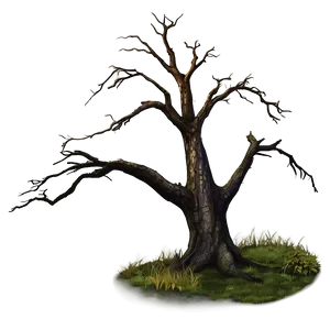 Dead Tree On Hill PNG 05252024