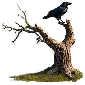 Dead Tree With Raven Png 05252024 PNG image