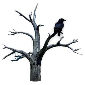 Dead Tree With Raven PNG 53