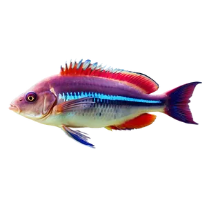 Dead Tropical Fish Png 9 PNG image