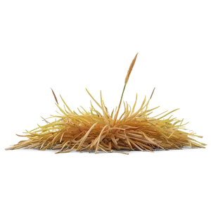 Dead Yellow Grass Png 06282024 PNG image