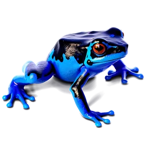 Deadly Poison Dart Frog Png 74 PNG image