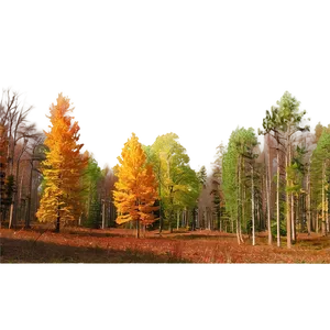 Deciduous Forest Panorama Png Gfe PNG image