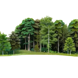 Deciduous Forest Panorama Png Shd27 PNG image