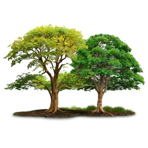 Deciduous Forest Panorama Png Tvs PNG image