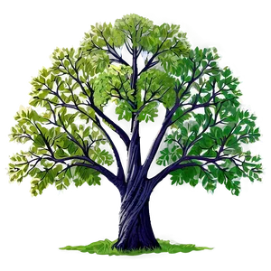 Deciduous Forest Trees Png Ggd PNG image