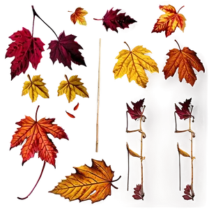 Deciduous Leaves Falling PNG 76