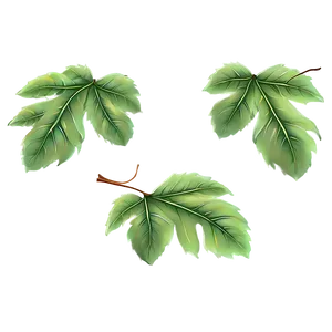 Deciduous Leaves Falling PNG Duw