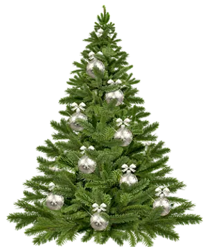 Decorated Christmas Tree Black Background.jpg