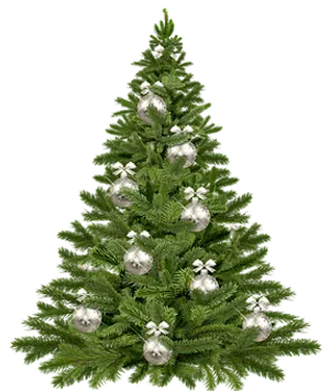 Decorated Christmas Tree Black Background.jpg PNG image