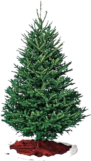 Decorated Pine Treewith Red Skirt