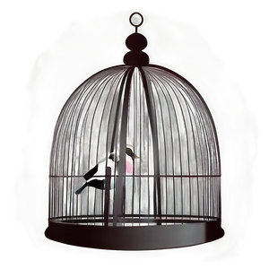 Decorative Bird Cage Clipart Png 8 PNG image