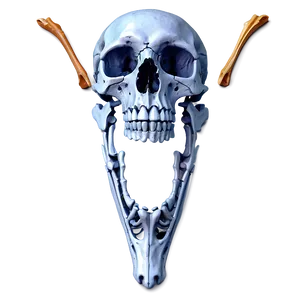 Decorative Bones PNG Yyk PNG