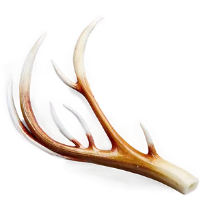 Decorative Deer Antler Motif Png Rho PNG image