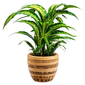 Decorative Floor Plant Png 06282024 PNG image