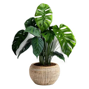 Decorative Floor Plant Png Isp59 PNG image