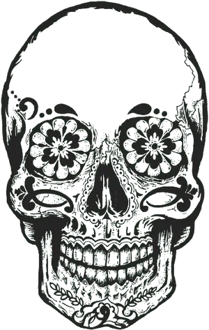 Decorative Floral Skull Art PNG image