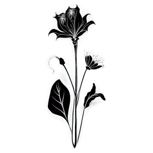 Decorative Flower Black And White Png Mkn PNG image