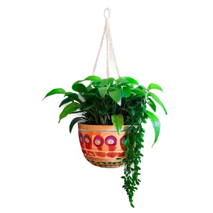 Decorative Hanging Plant PNG Dwf