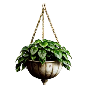 Decorative Hanging Plant PNG Qso15 PNG