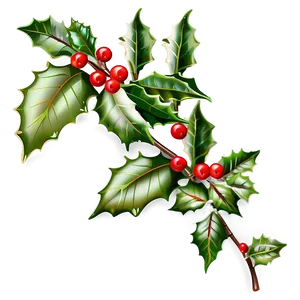 Decorative Holly PNG 84