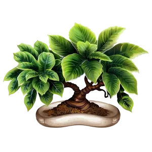 Decorative Small Plant Png 06132024 PNG image