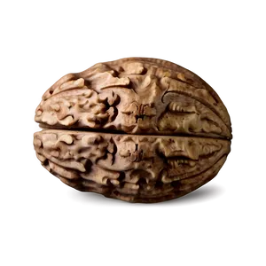 Decorative Walnut PNG 06122024