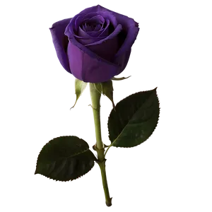 Deep Purple Rose PNG Bny28