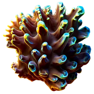 Deep Sea Coral Png 68 PNG image