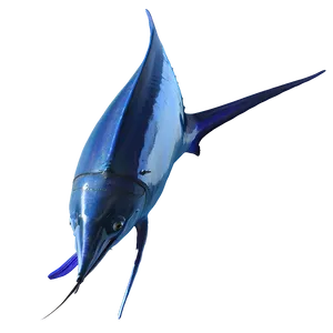 Deep Sea Marlin PNG 06242024 PNG