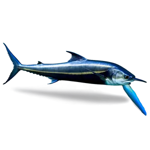 Deep Sea Marlin PNG Pdg