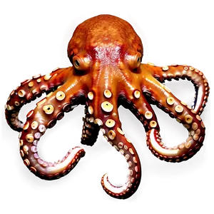 Deep Sea Octopus PNG Aad31