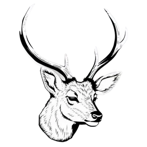 Deer Head Silhouette Png Myp69 PNG image