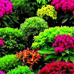 Deer Resistant Shrubs PNG Pud54