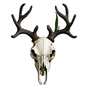 Deer Skull In Forest Scene PNG 06132024