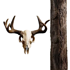 Deer Skull In Forest Scene PNG 6 PNG