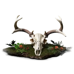 Deer Skull In Forest Scene PNG Aly PNG