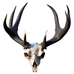 Deer Skull In Wilderness PNG Kod