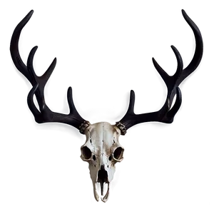 Deer Skull On Dark Background PNG Rup71 PNG