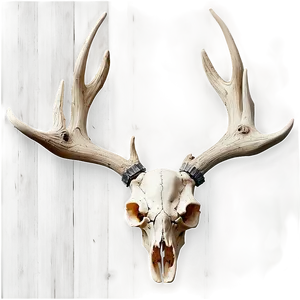 Deer Skull On Wood Texture PNG 06132024