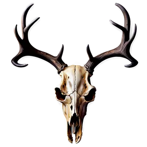 Deer Skull On Wood Texture PNG 36