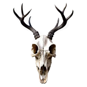 Deer Skull Silhouette PNG Slx