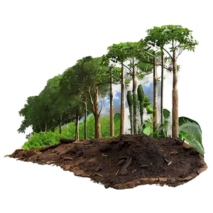 Deforestation Carbon Footprint Png 96 PNG image